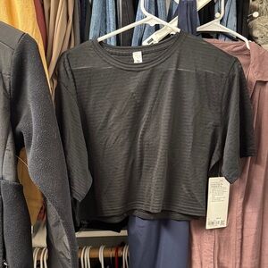 Cortes Crop Tee- Shadow Stripe NWT